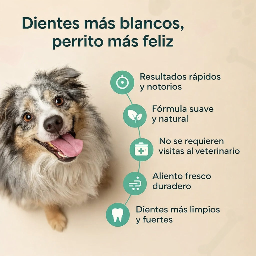 Elimina el Mal Aliento de tu Perro en Pocos Días — Sin Cepillado ni Estrés