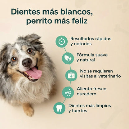 Elimina el Mal Aliento de tu Perro en Pocos Días — Sin Cepillado ni Estrés