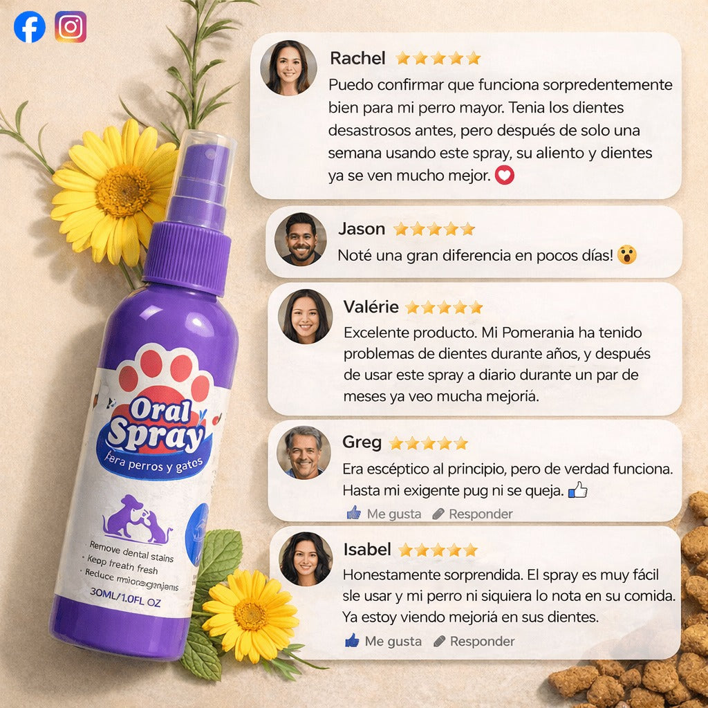 Elimina el Mal Aliento de tu Perro en Pocos Días — Sin Cepillado ni Estrés